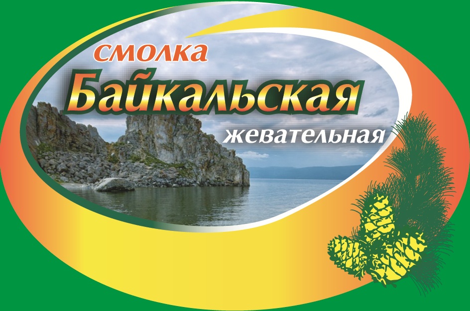 Байкальская смолка. Смолка жевательная Бурятия. Байкальская Смолка жевательная. Таежная Смолка. Сера Байкальская.